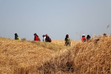 사막을 건너다 - 바라길, 신두리 사구
