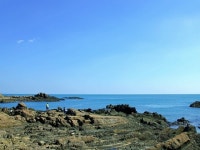 경주해안산책로 | 검색결과 - zum 허브