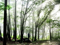 덕유산여행 | 검색결과 - zum 허브