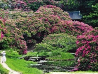 축산 | 검색결과 - zum 허브