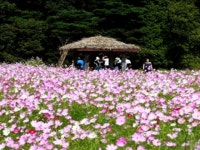 북천 | 검색결과 - zum 허브