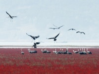 전남순천만 | 검색결과 - zum 허브