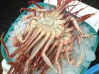 묵호항 | 검색결과 - zum 허브