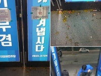 달걀테러 | 검색결과 - zum 허브