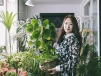 홈가드닝 | 검색결과 - zum 허브