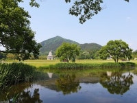 미륵사지 | 검색결과 - zum 허브