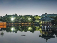 야간산책코스 | 검색결과 - zum 허브