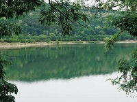 수원 저수지 | 검색결과 - zum 허브