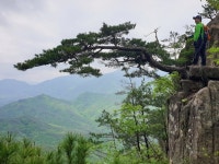 도락산 | 검색결과 - zum 허브