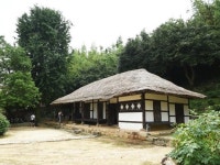 다산과 영랑의 마을...모란이 지고 수국이 피었습니다