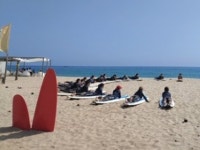 버스운행 조례 :: ZUM 허브