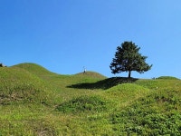불로동고분군 | 검색결과 - zum 허브