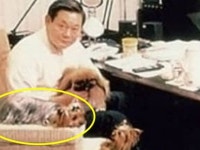 이건희자택 | 검색결과 - zum 허브