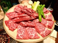 수원 느티나무 | 검색결과 - zum 허브