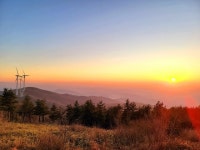 태기산 | 검색결과 - zum 허브