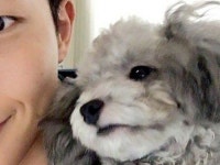 개아빠 | 검색결과 - zum 허브