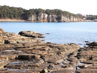 송학동고분군 | 검색결과 - zum 허브