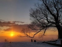 궁남지 | 검색결과 - ZUM 허브