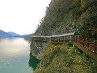 [여행] 남한강 따라 힐링 산책...단양강 잔도