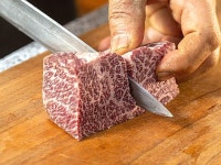 풀로만목장 | 검색결과 - zum 허브