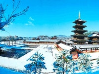 초승달 | 검색결과 - zum 허브