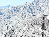 야미야미왕산점 | 평창발왕산 | 검색결과 - zum 허브
