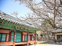 효재 :: ZUM 허브