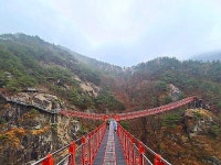 우두산 | 검색결과 - ZUM 허브