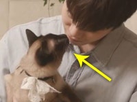 TV동물농장 | 검색결과 - ZUM 허브