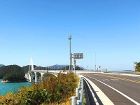 낭도 | 검색결과 - zum 허브