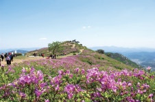 “없던 썸도 생겨요” 데이트하기 좋은 최적의 드라이브 코스