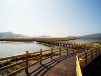 강진만생태공원 | 검색결과 - zum 허브