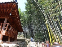 쌍산재 | 검색결과 - zum 허브