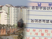 종합부동산세 | 검색결과 - zum 허브