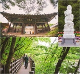 조금 일찍 떠난 여름휴가
