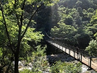 산소길 | 검색결과 - zum 허브