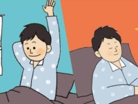 저녁형인간 | 검색결과 - ZUM 허브
