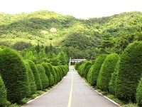 전남산림자원연구소 | 검색결과 - zum 허브