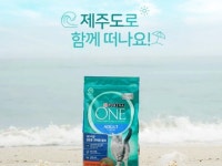 반려동물여행 | 검색결과 - zum 허브