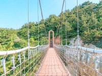 욕지도 모노레일 | 검색결과 - zum 허브