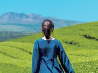 도순다원 | 검색결과 - zum 허브