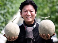 농부가 된 스타 셰프… “내 요리는 도마 아닌 땅에서 시작된다”