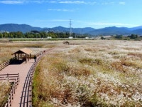 별서 정원 | 검색결과 - zum 허브