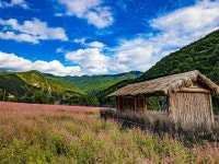 먹골마을 | 검색결과 - zum 허브