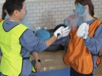가학성논란 | 검색결과 - zum 허브