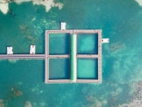 제주낚시체험 | 검색결과 - zum 허브