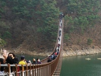 옥순봉출렁다리 | 검색결과 - ZUM 허브