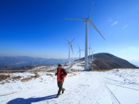 태백여행 | 검색결과 - zum 허브