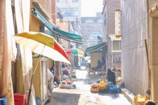 남도 바다의 ‘제철 보물’이 가득…구수한 단맛 ‘김국’이 별미네