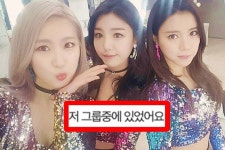 가비엔제이 | 검색결과 - zum 허브